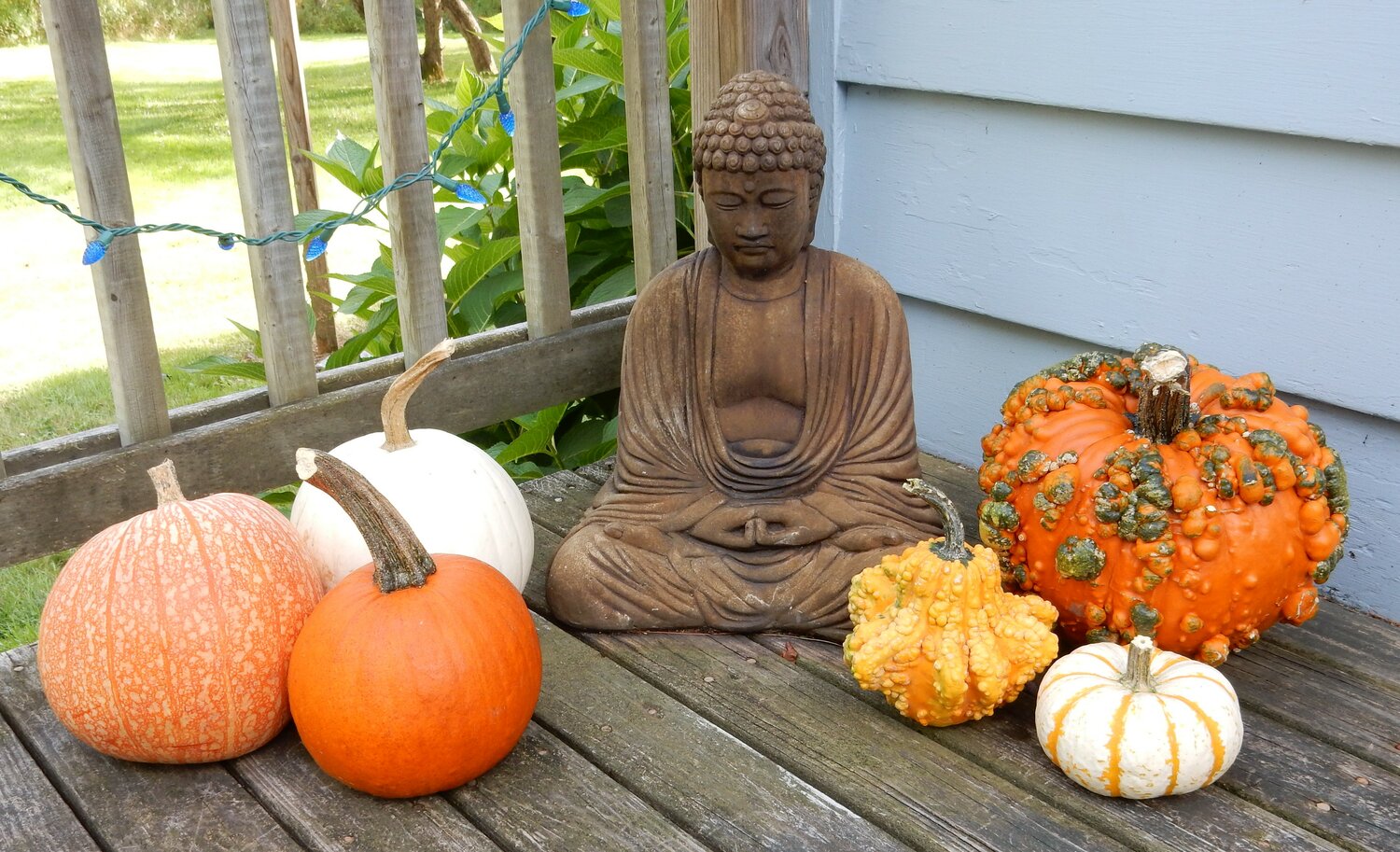 Buddha with pumpkins and gourds